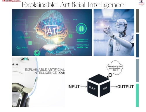 The Significance of Explainable Artificial Intelligence (XAI) in Critical Applications